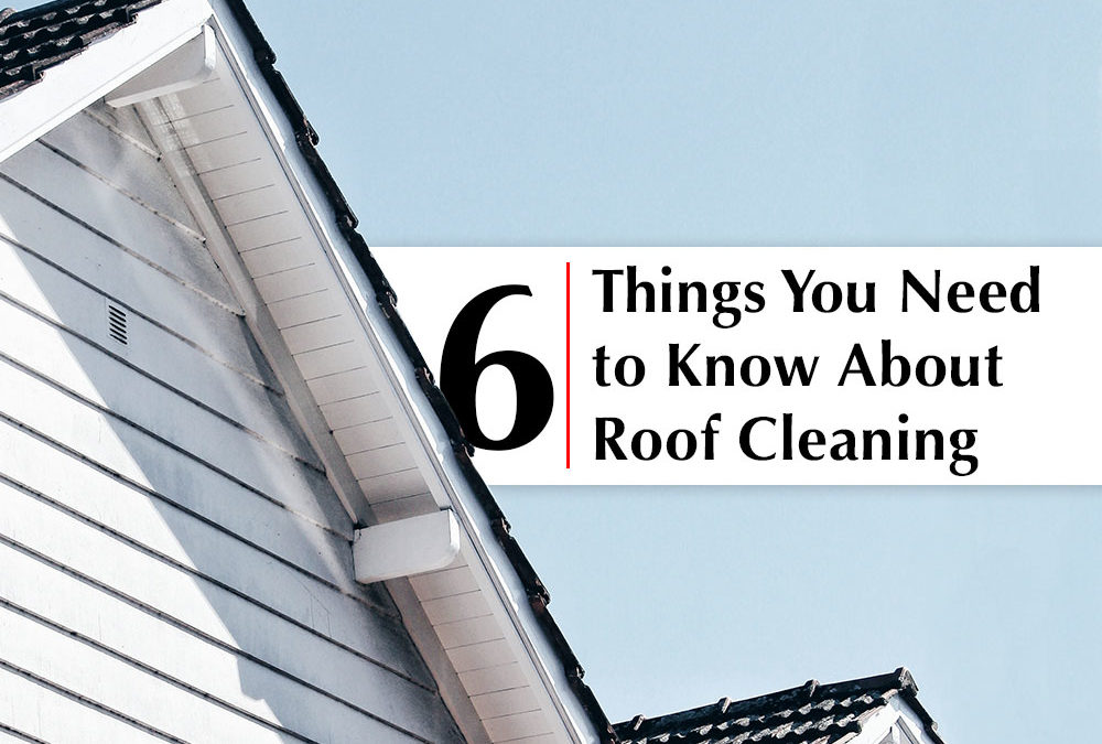 Things you need to know about roof cleaning